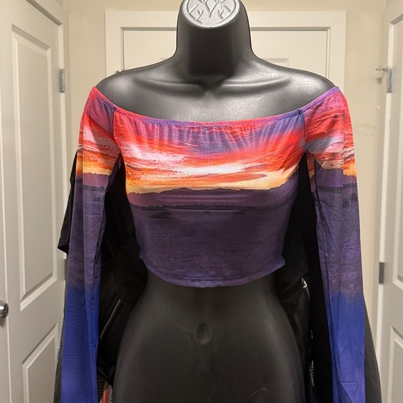 Printed Long Sleeve Mesh Printed Crop Top - Picture 4 of 5